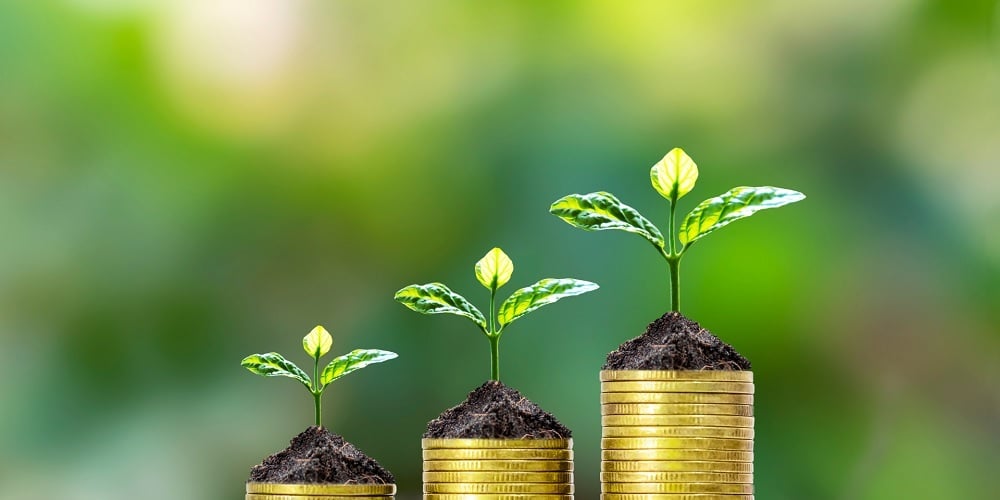 operational efficiency